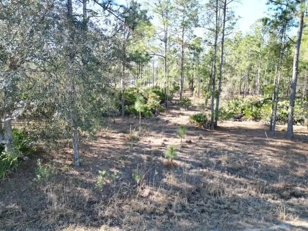 707 Laguna Drive Indian Lake Estates FL 33855
