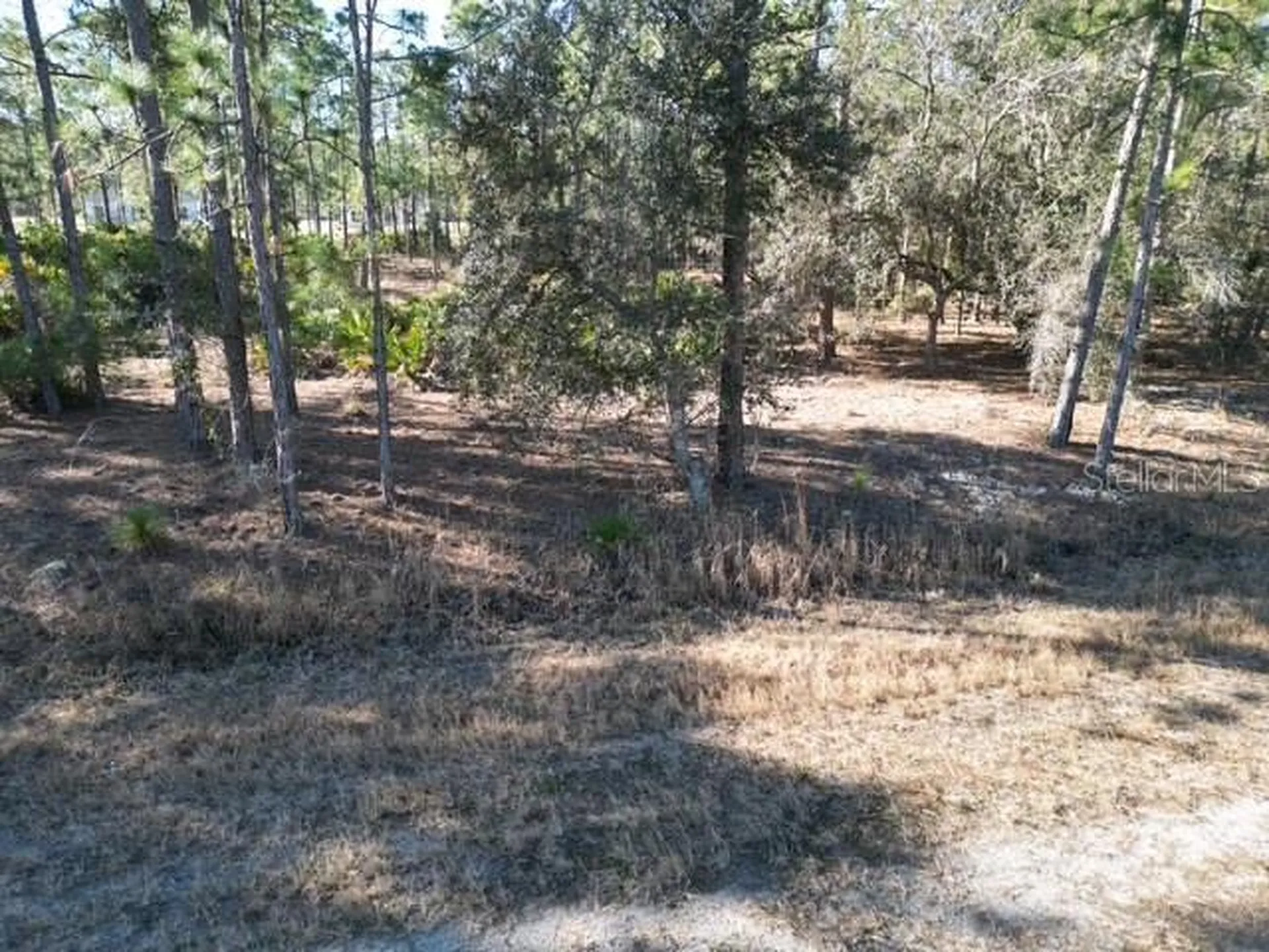 707 Laguna Drive Indian Lake Estates FL 33855
