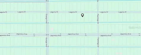 707 Laguna Drive Indian Lake Estates FL 33855