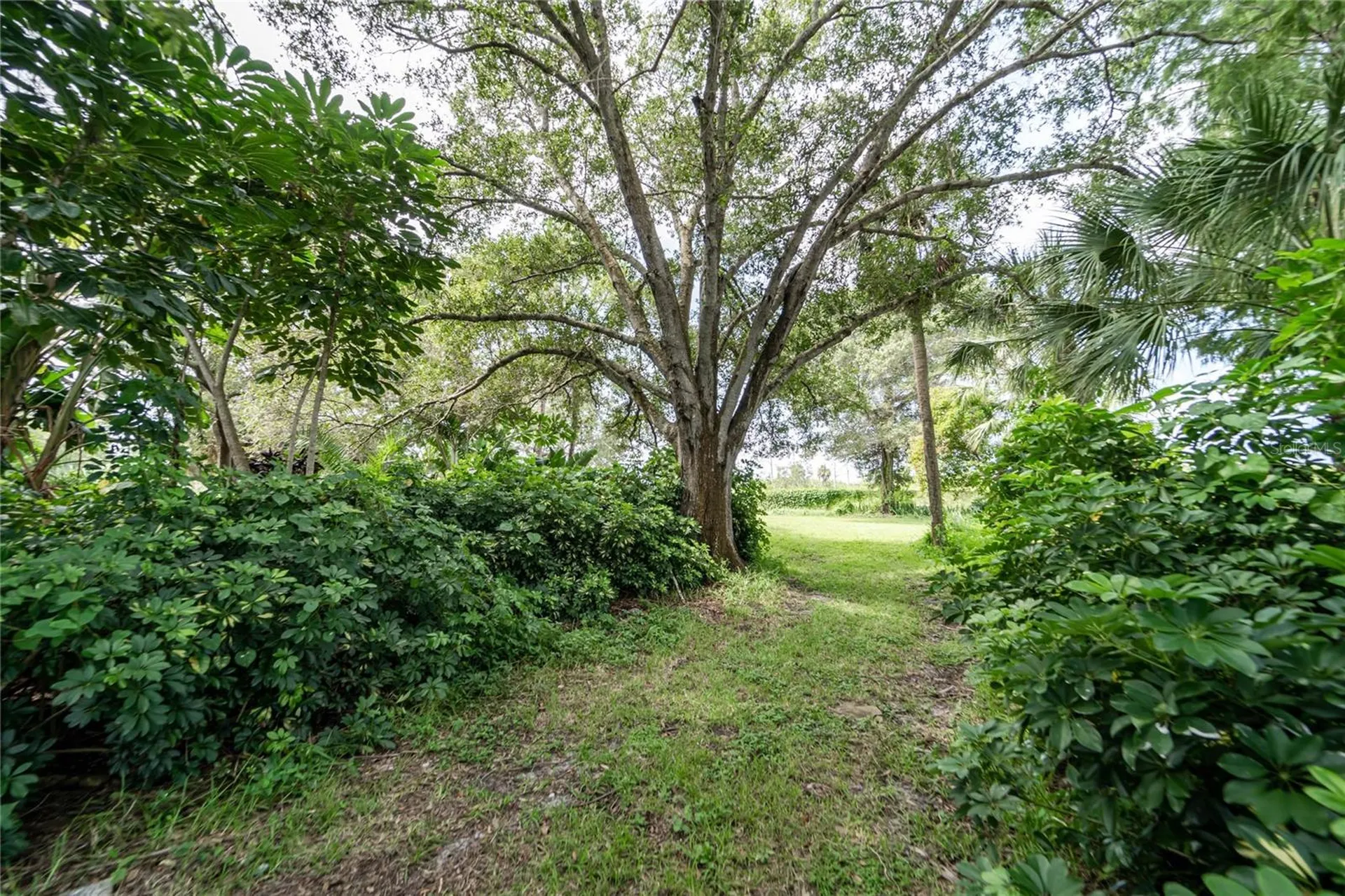 3834 29 Avenue St Petersburg FL 33711