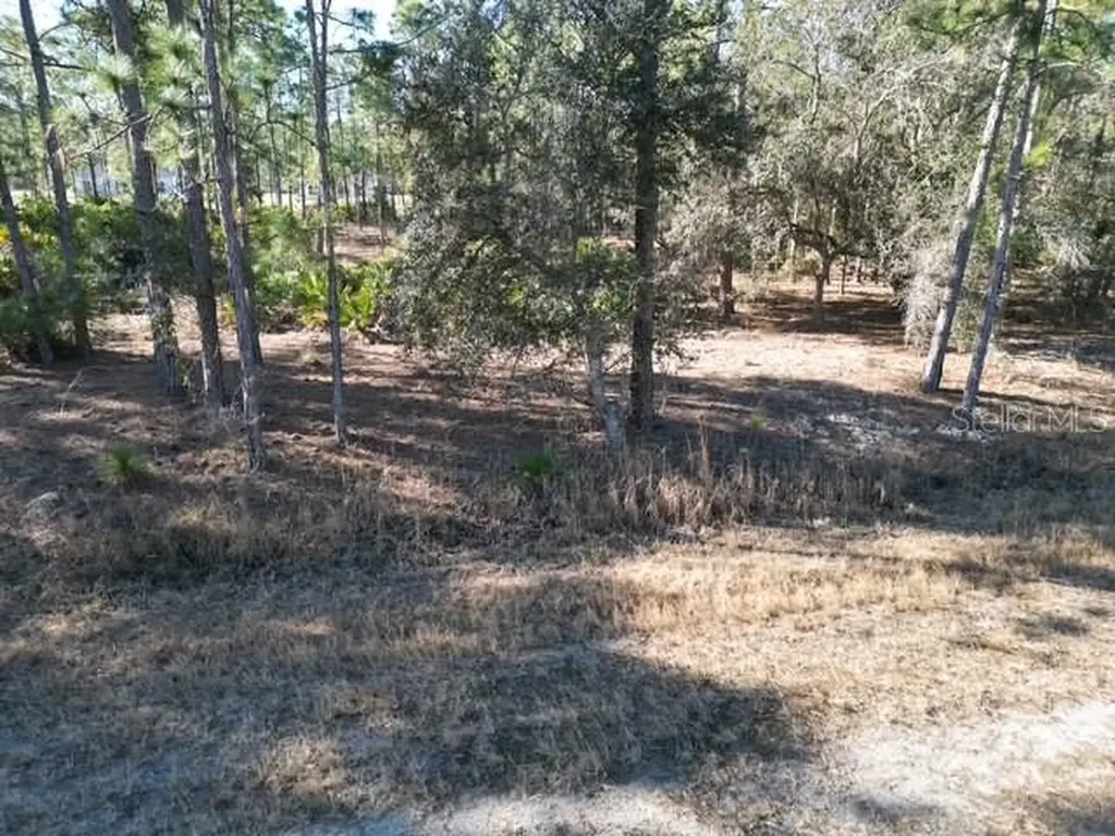 705 Laguna Drive Indian Lake Estates FL 33855