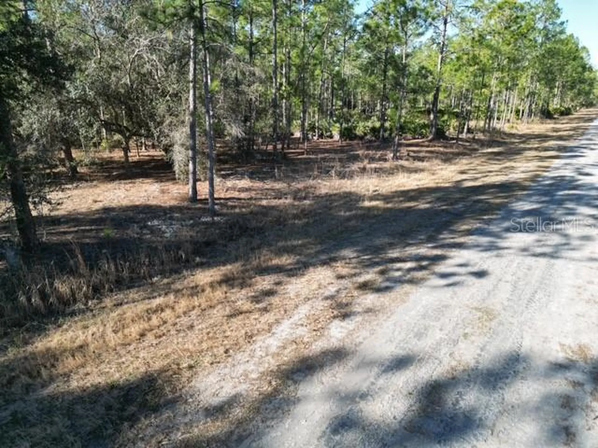705 Laguna Drive Indian Lake Estates FL 33855
