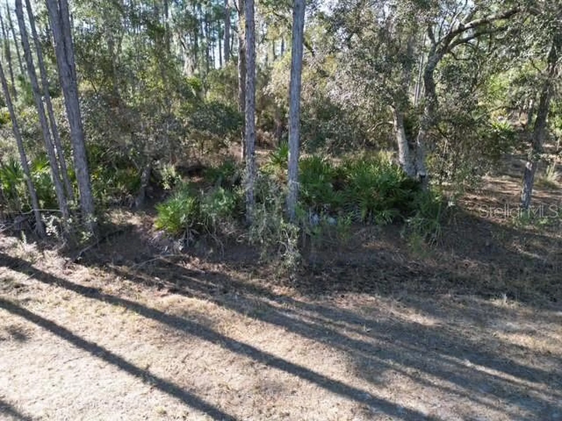 705 Laguna Drive Indian Lake Estates FL 33855