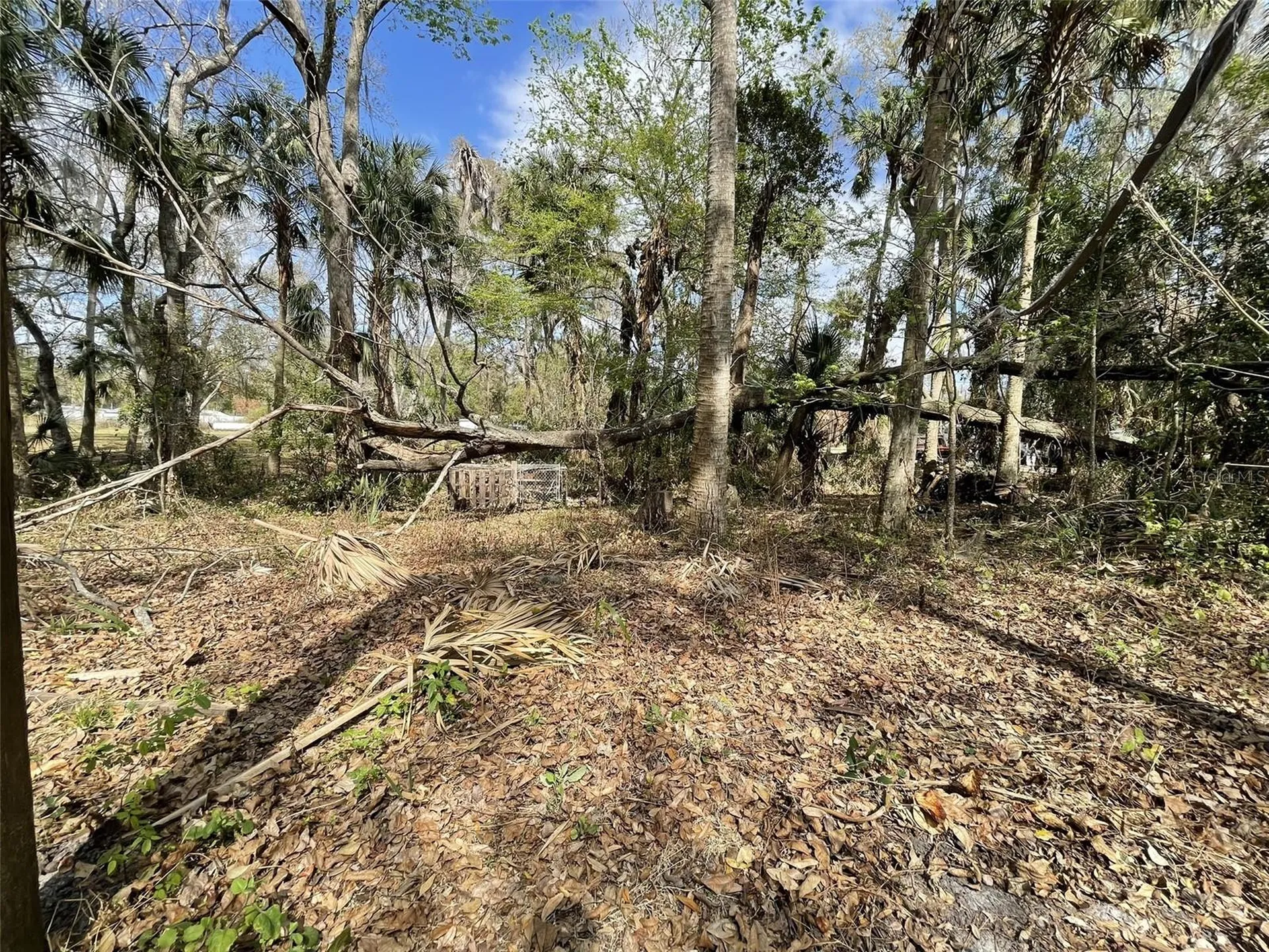 6641 Twilight Court Davenport FL 33896