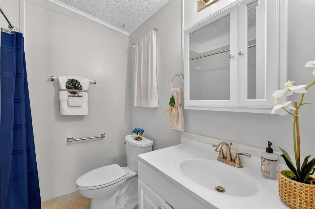 953 Orchid Street The Villages FL 32159