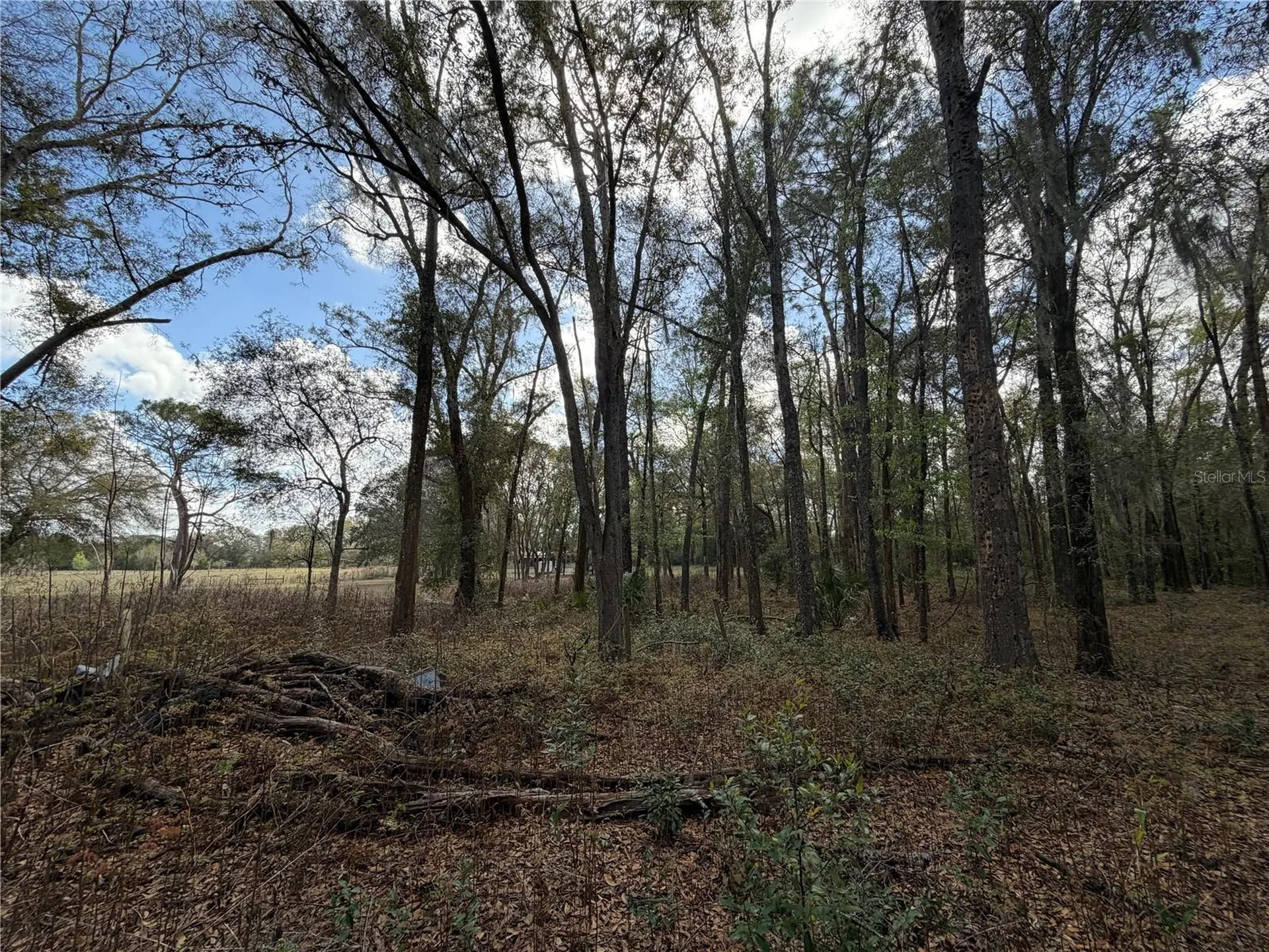 7556 SE 123rd Lane Belleview FL 34420