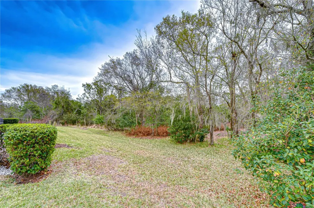 16158 Amethyst Key Drive Wimauma FL 33598