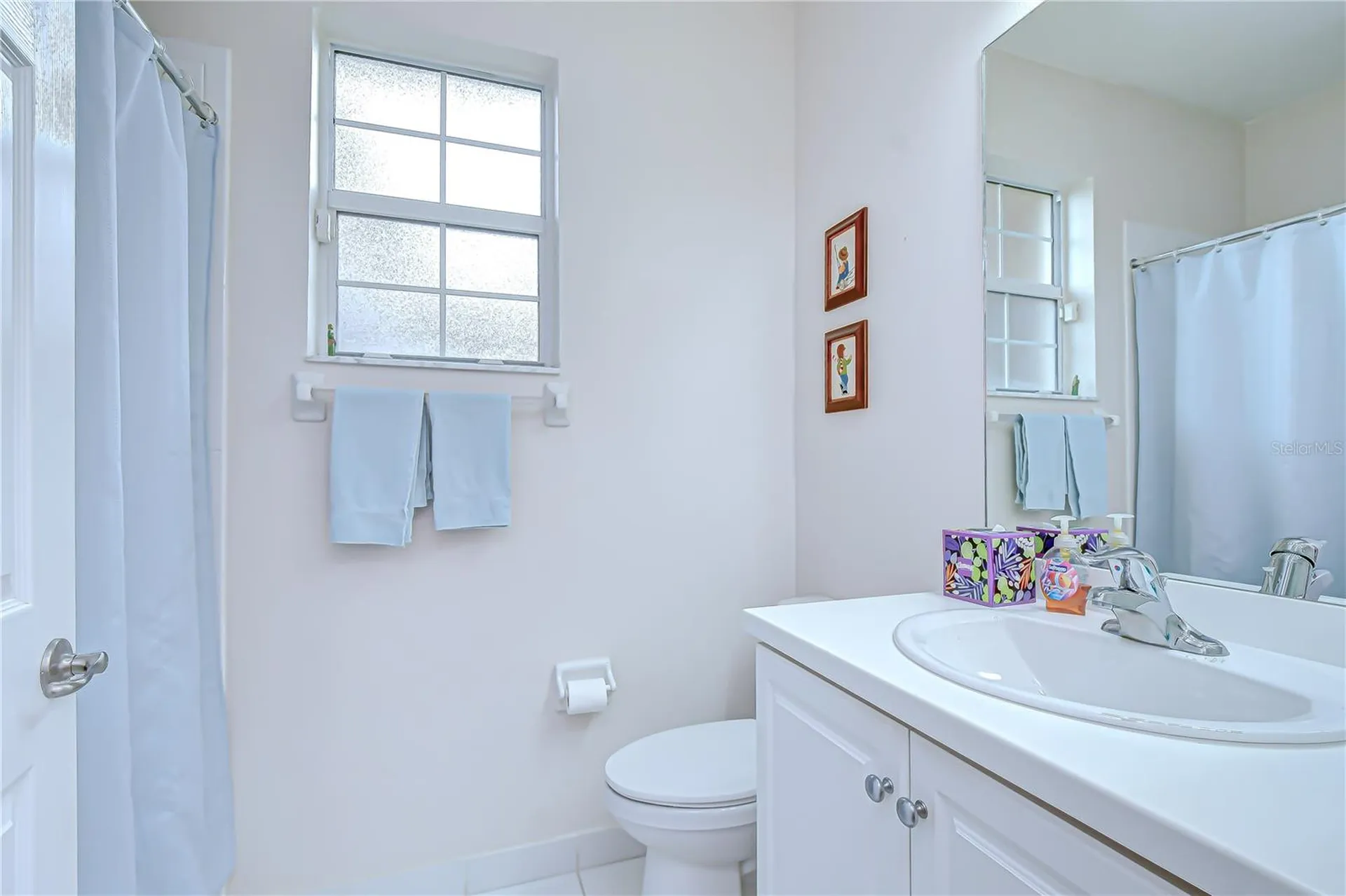 16158 Amethyst Key Drive Wimauma FL 33598