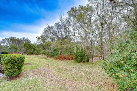 16158 Amethyst Key Drive Wimauma FL 33598
