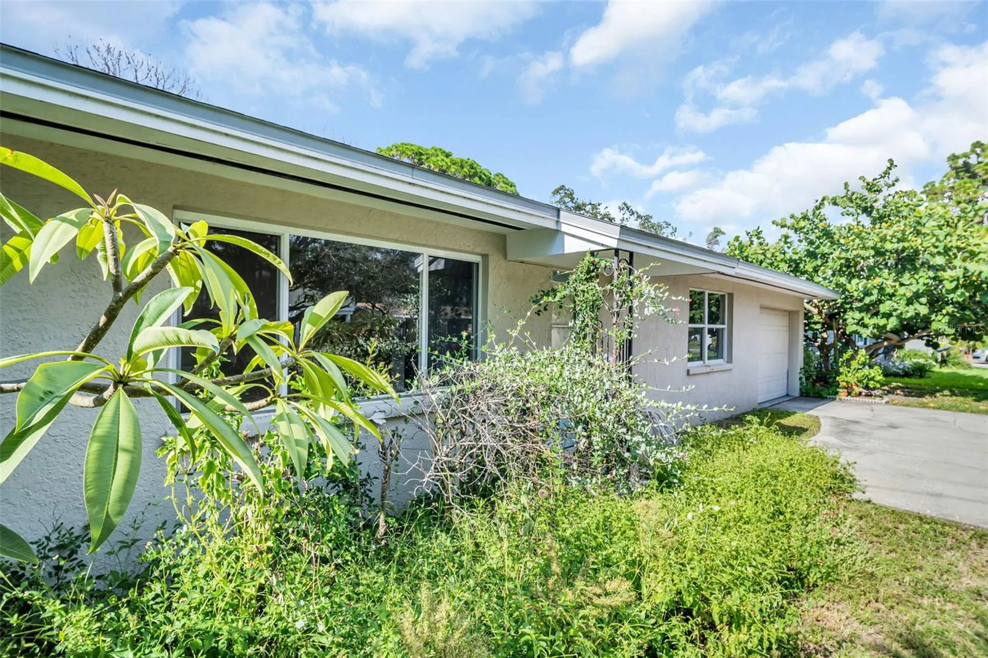 402 Orchid Lane Palm Harbor FL 34683