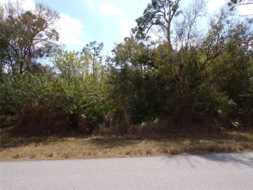 25161 Aysen Drive Punta Gorda FL 33983