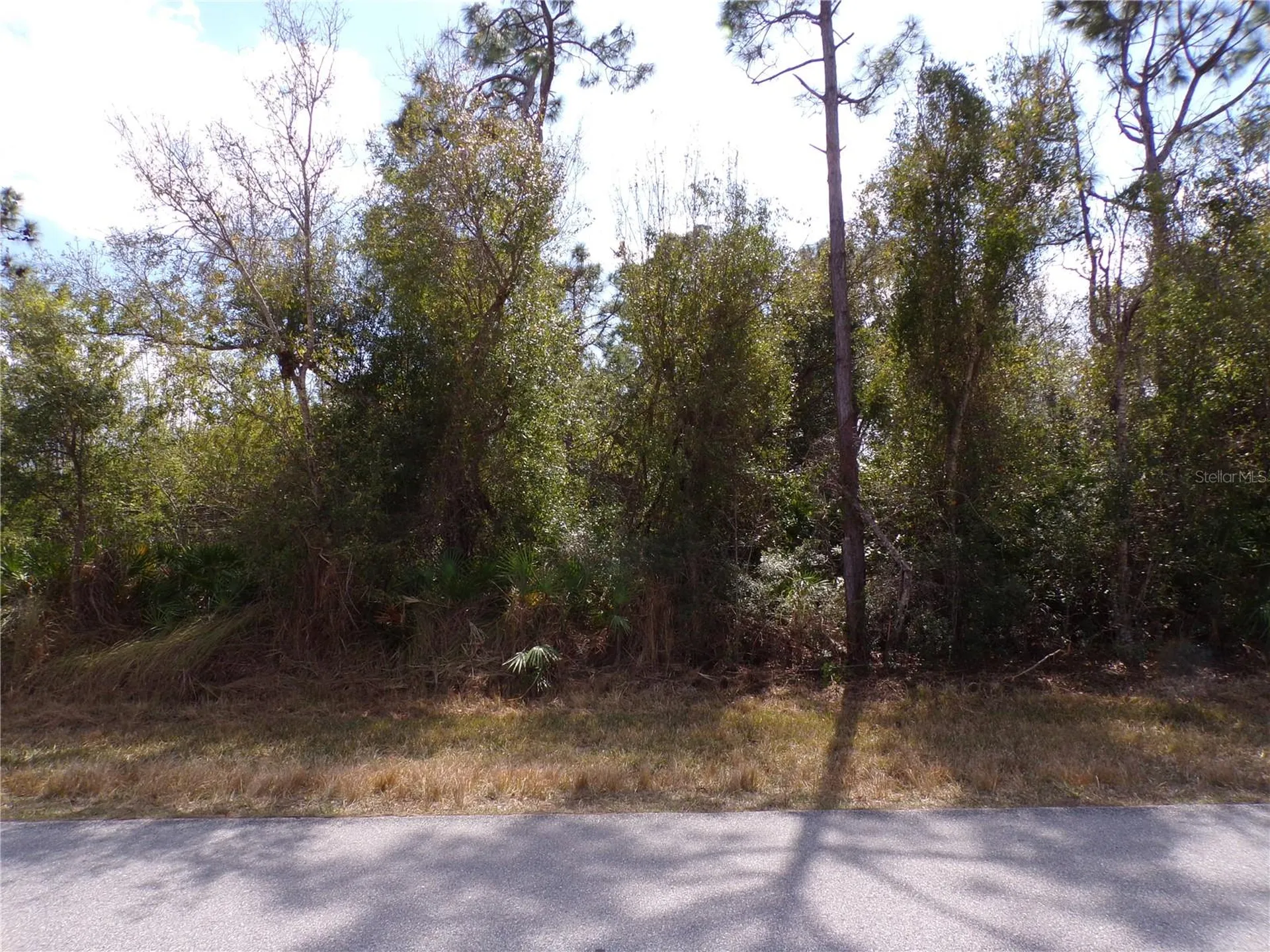25161 Aysen Drive Punta Gorda FL 33983