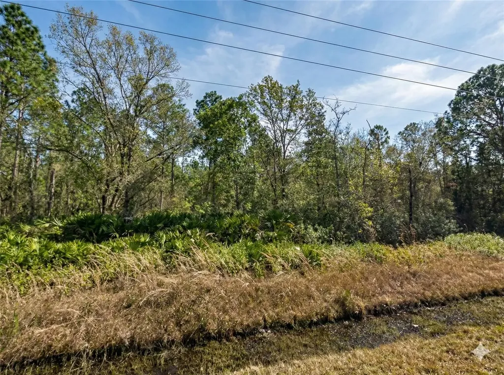 10720 Yeager Avenue Hastings FL 32145