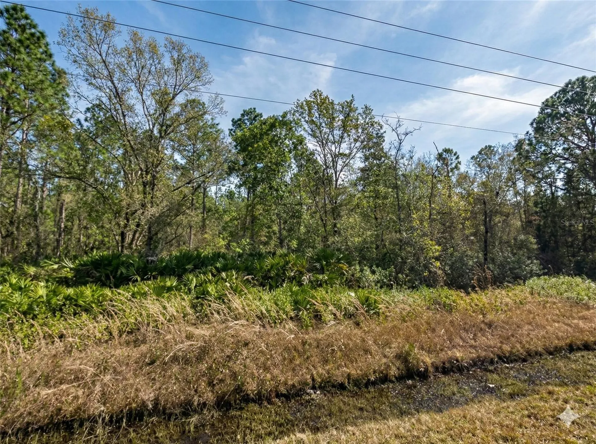10720 Yeager Avenue Hastings FL 32145