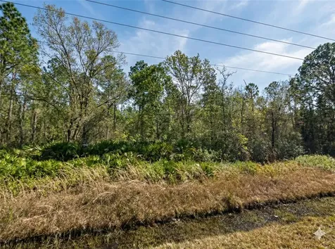 10720 Yeager Avenue Hastings FL 32145