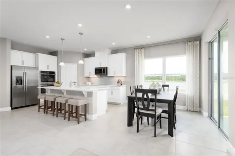 1221 Ivy Manor Street Minneola FL 34715
