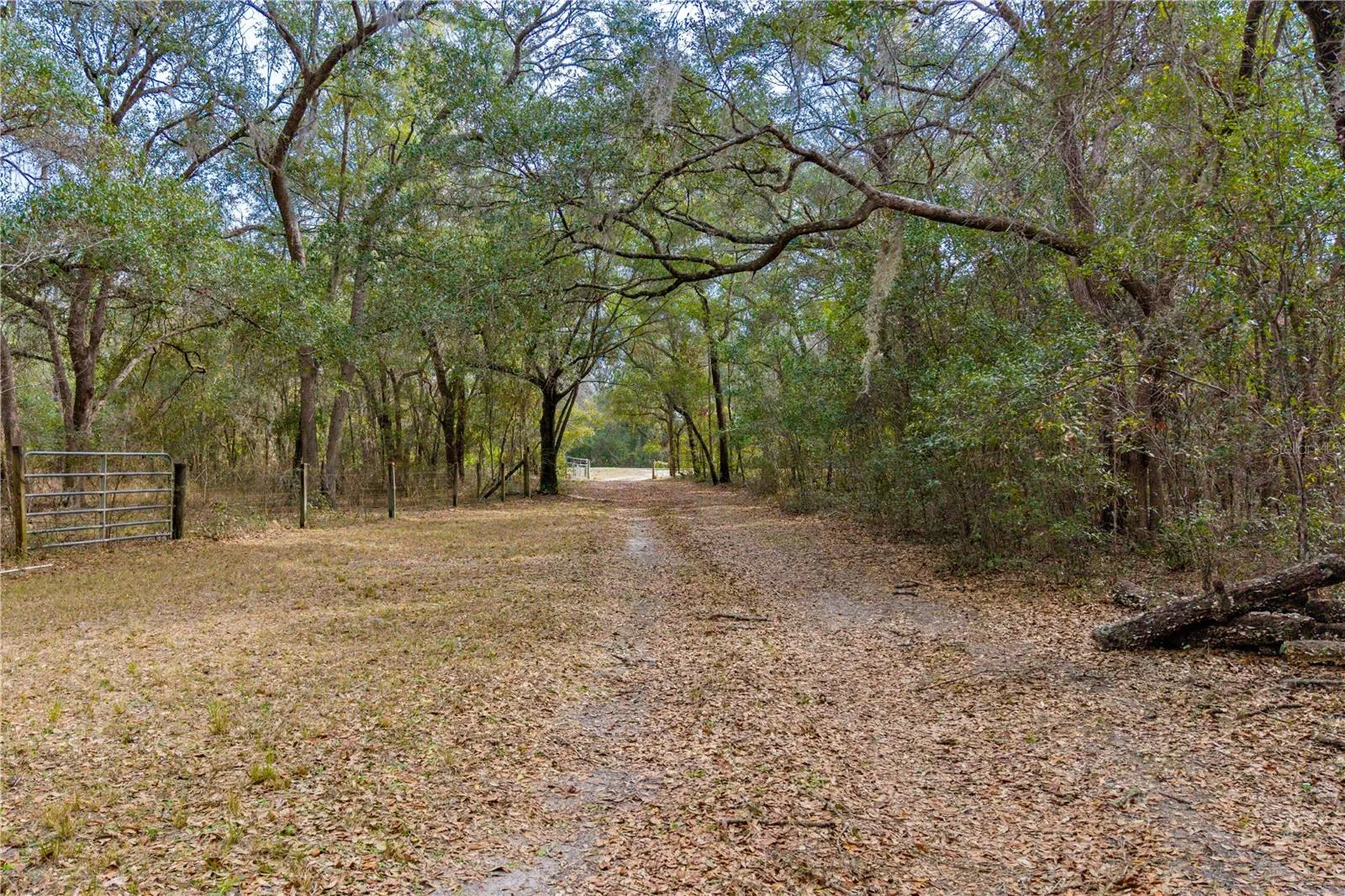 19514 N County Road 225 Gainesville FL 32609