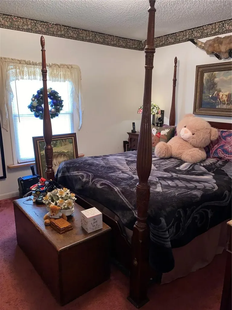 1050 Cr 482d Lake Panasoffkee FL 33538