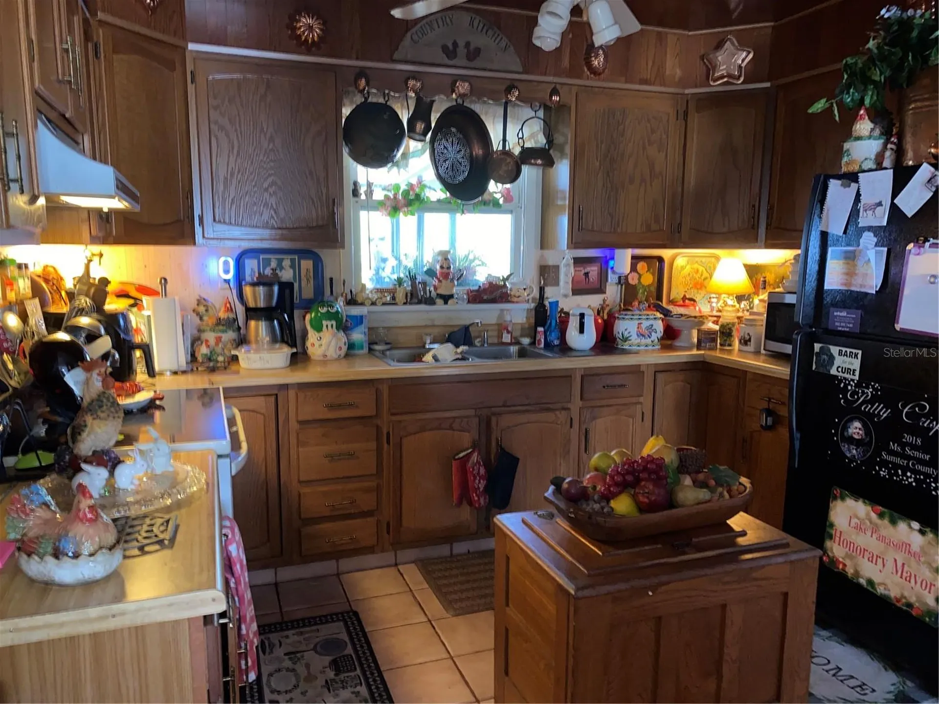 1050 Cr 482d Lake Panasoffkee FL 33538