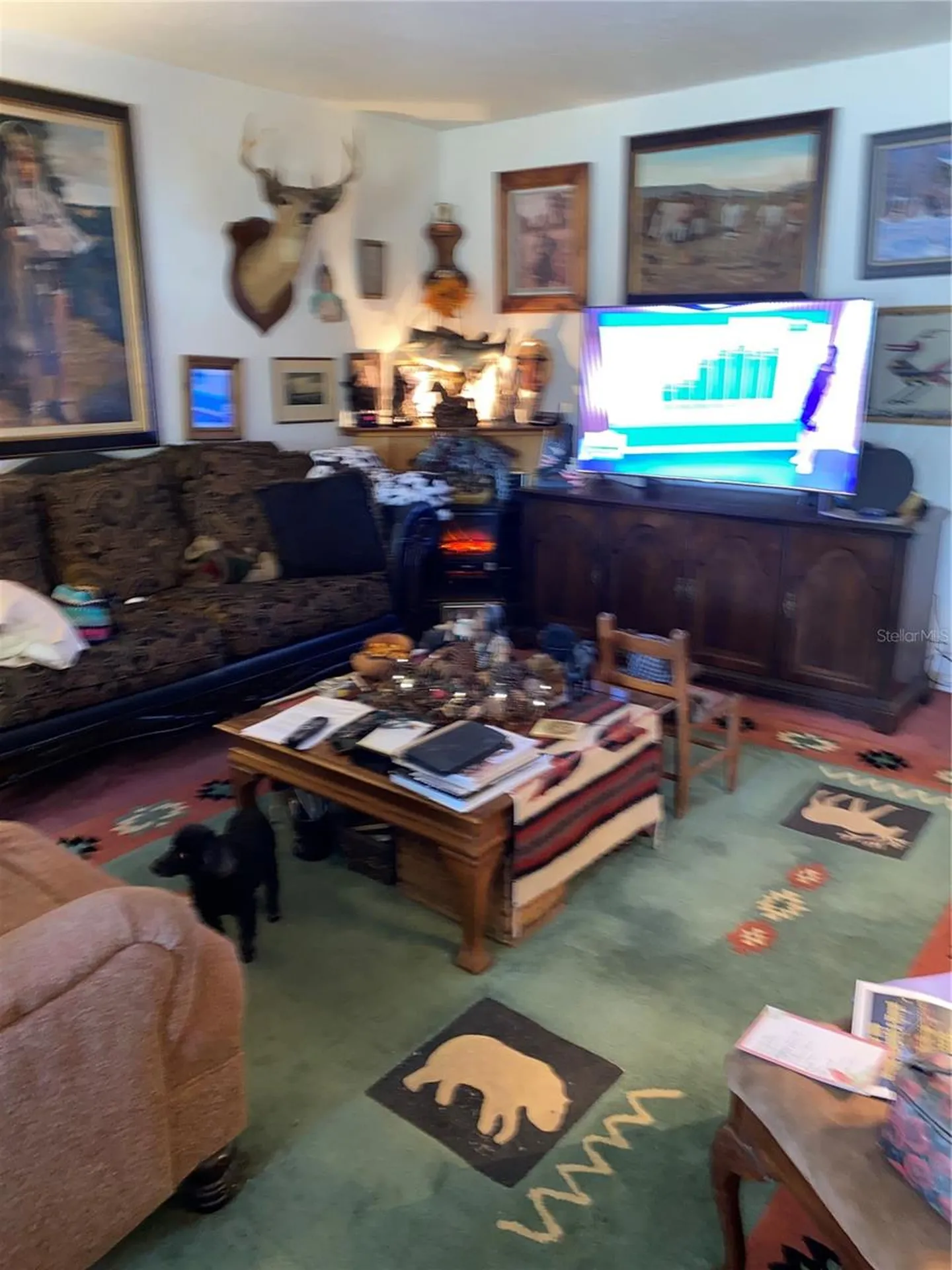 1050 Cr 482d Lake Panasoffkee FL 33538