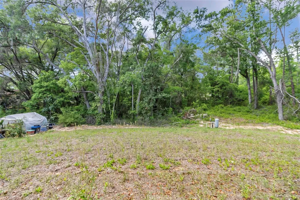 4592 SW Channel Heights Court Dunnellon FL 34431