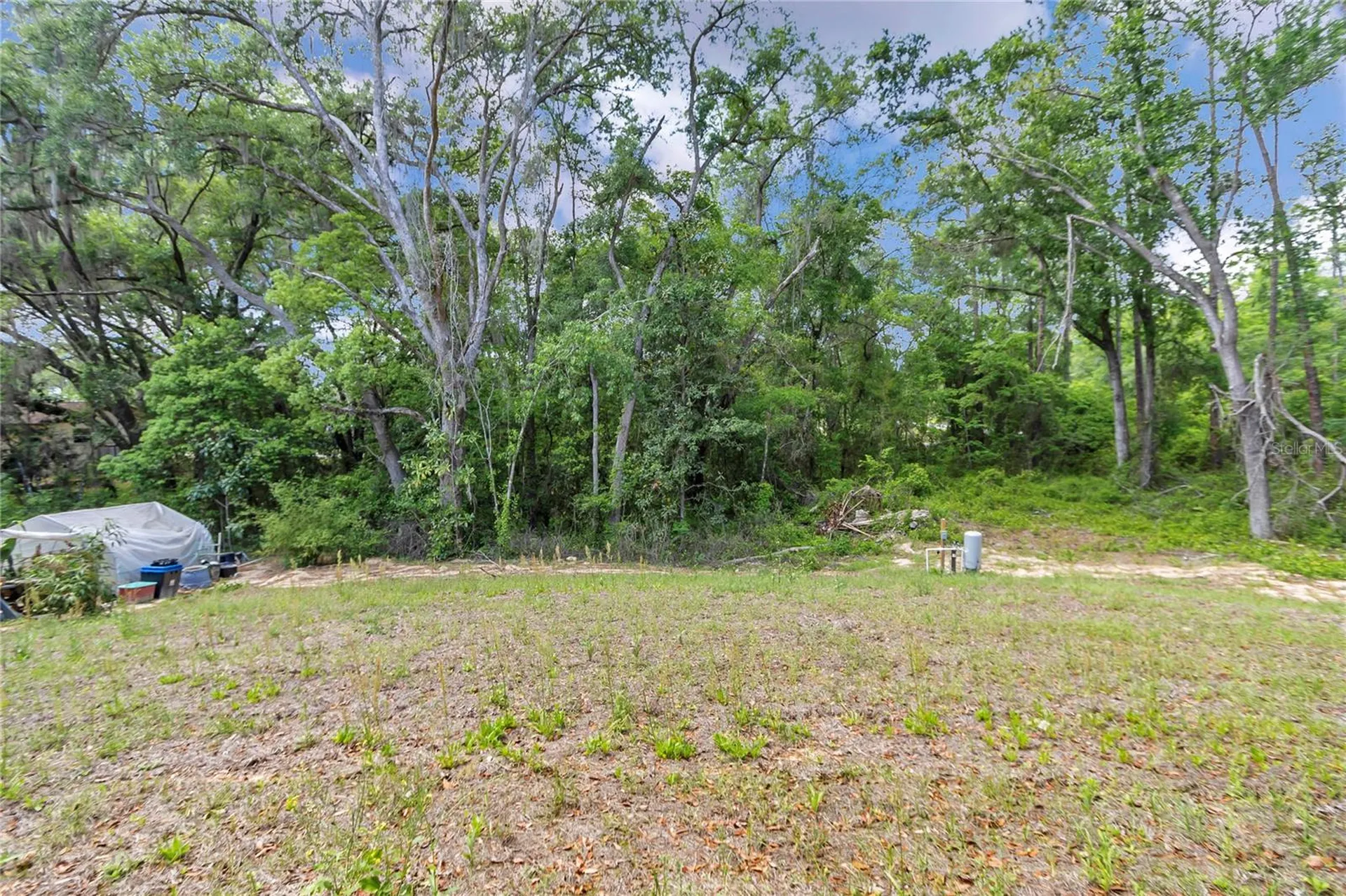 4592 SW Channel Heights Court Dunnellon FL 34431