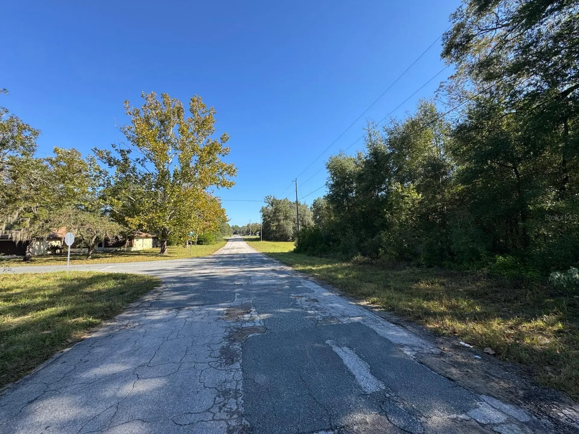 10241 N Halsey Way Dunnellon FL 34434