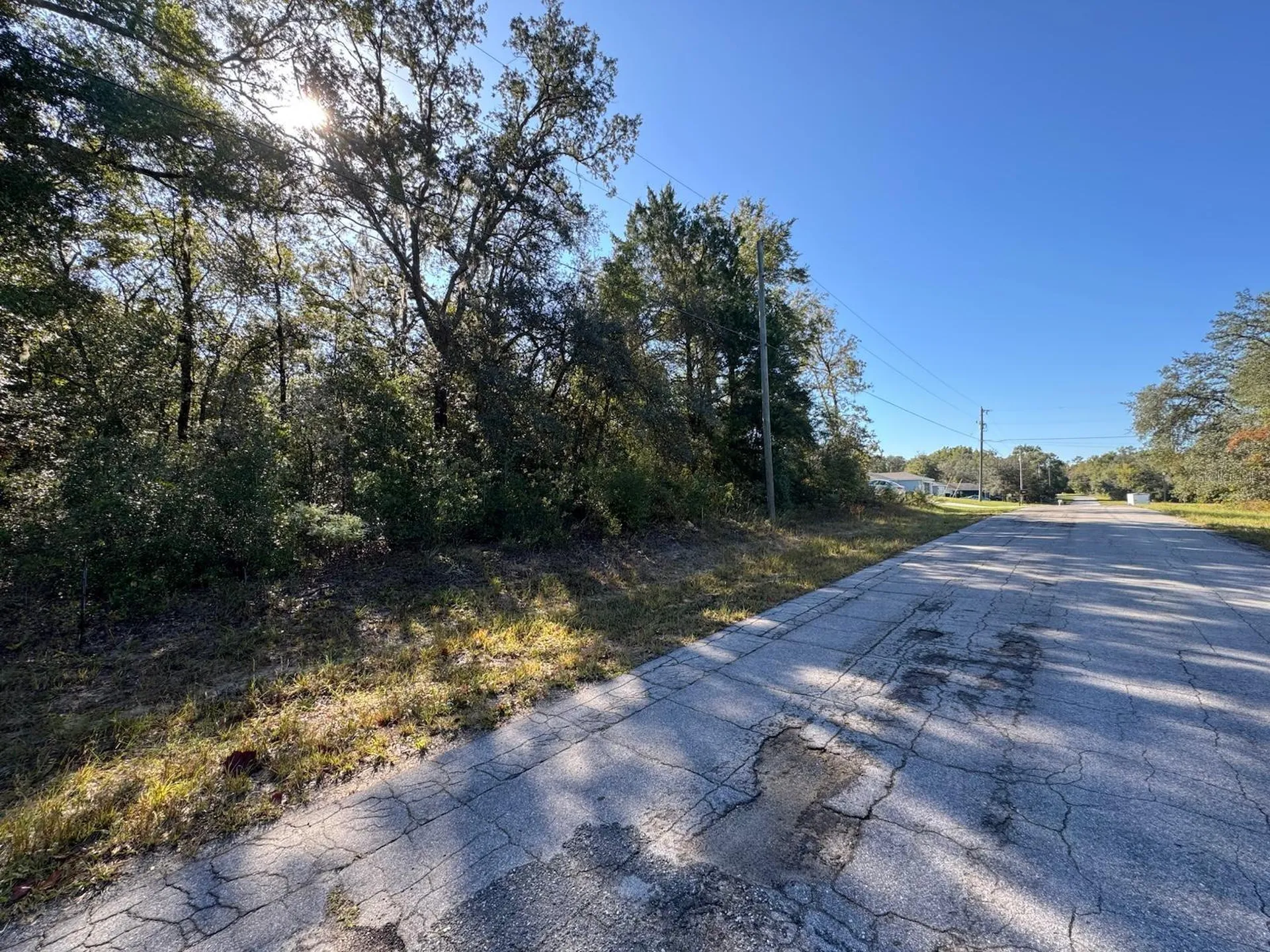 10241 N Halsey Way Dunnellon FL 34434