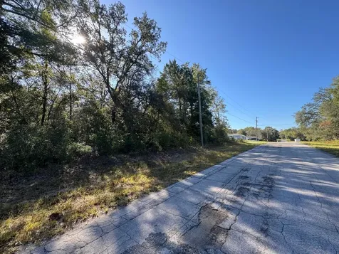 10241 N Halsey Way Dunnellon FL 34434