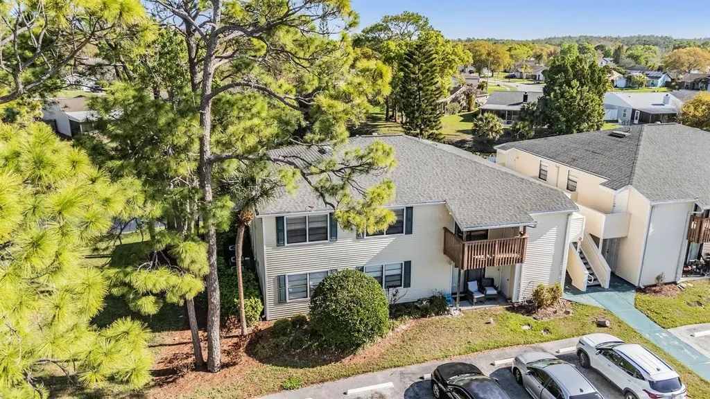 124 Loblolly Court Oldsmar FL 34677