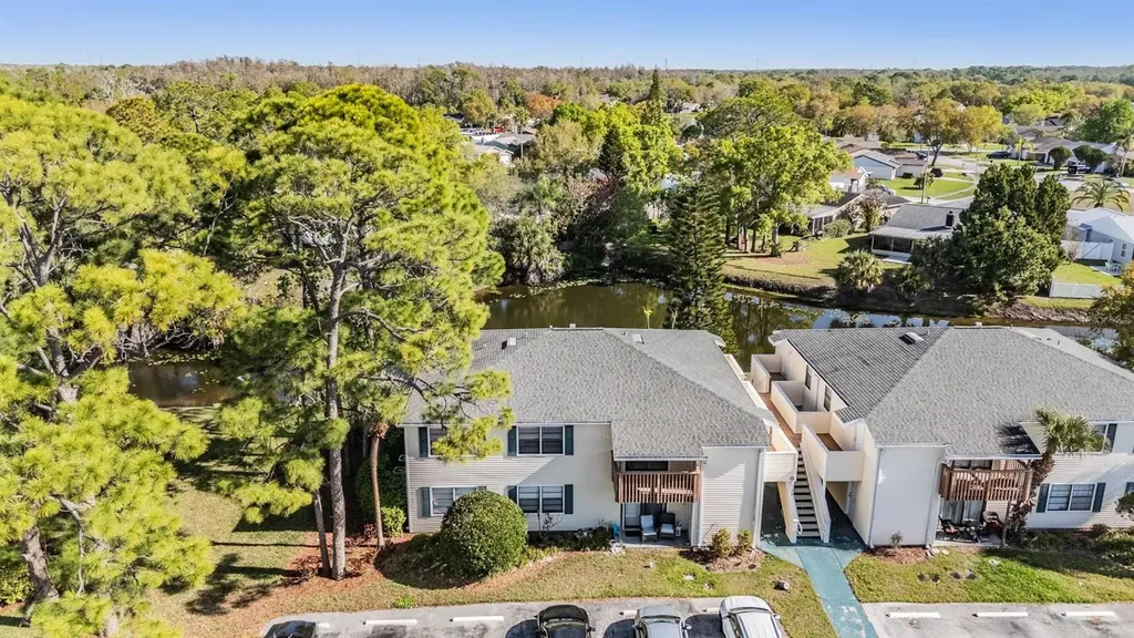 124 Loblolly Court Oldsmar FL 34677