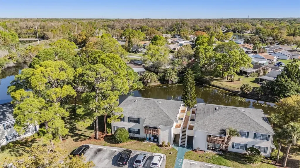 124 Loblolly Court Oldsmar FL 34677