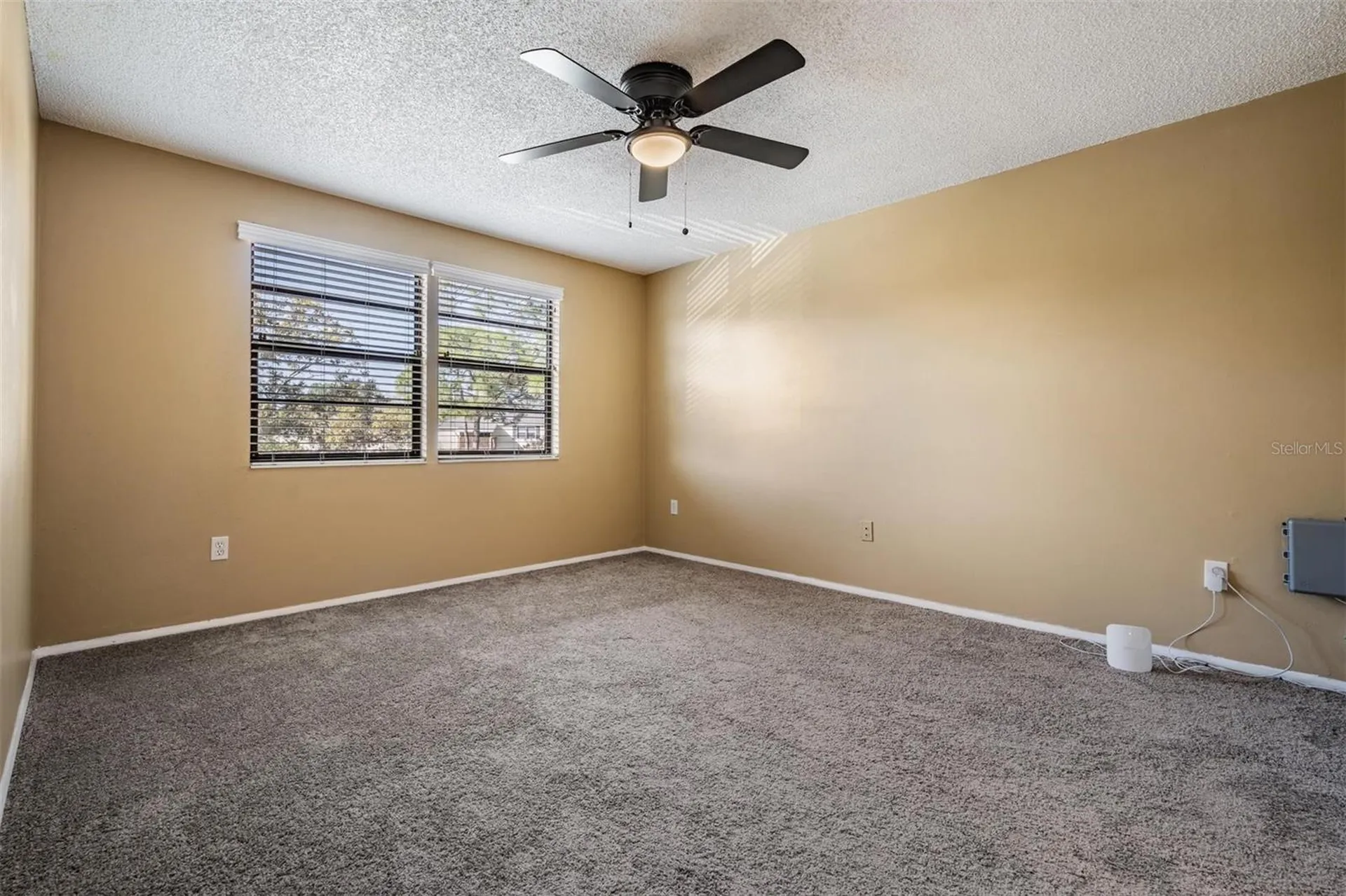 124 Loblolly Court Oldsmar FL 34677