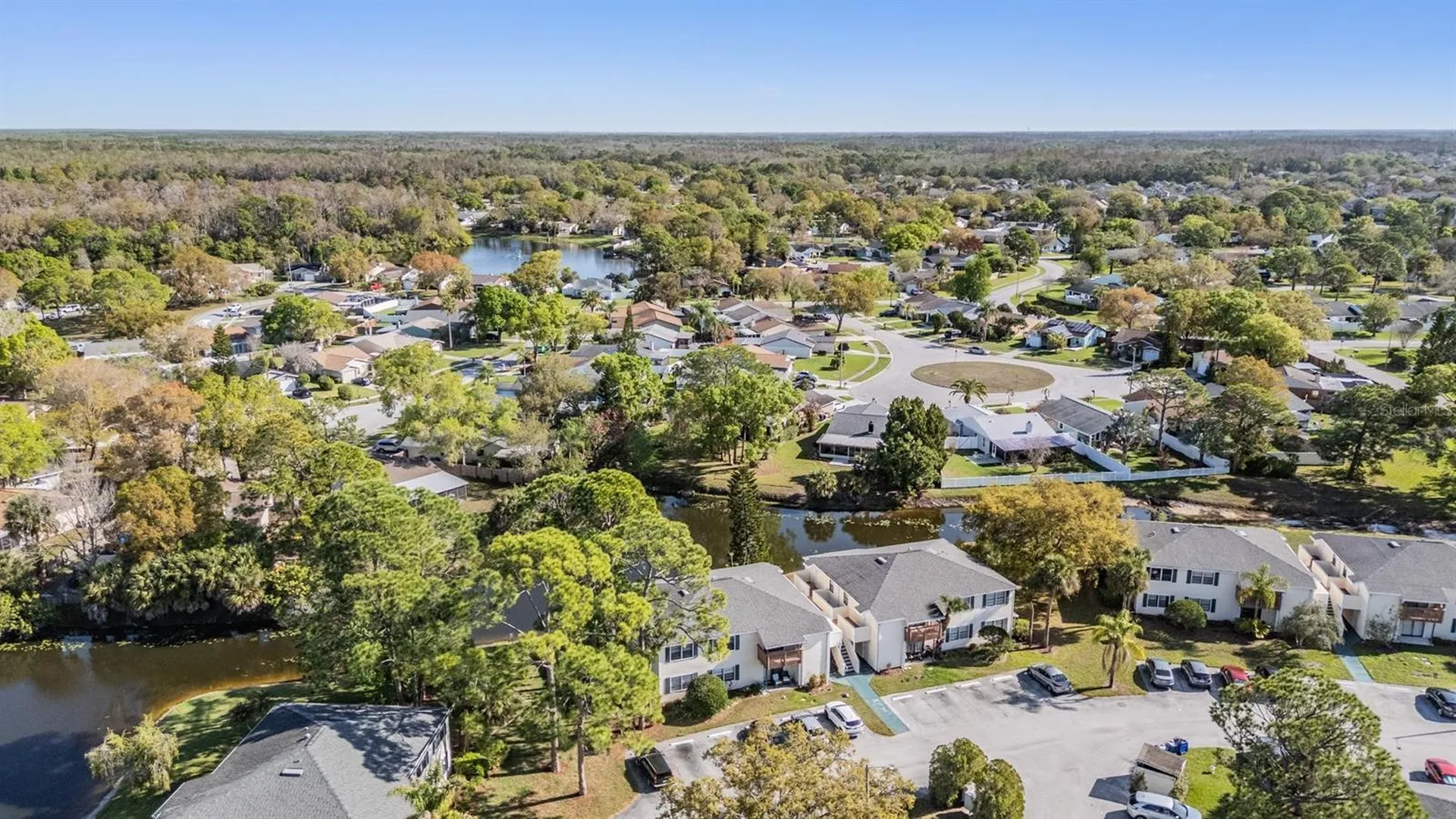 124 Loblolly Court Oldsmar FL 34677