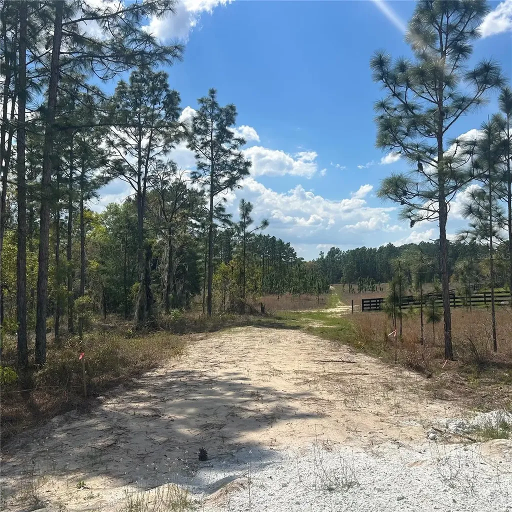 2395 NW 81st Avenue Wildwood FL 34785