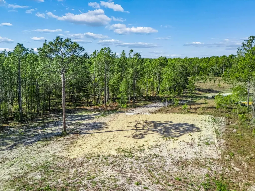 2395 NW 81st Avenue Wildwood FL 34785