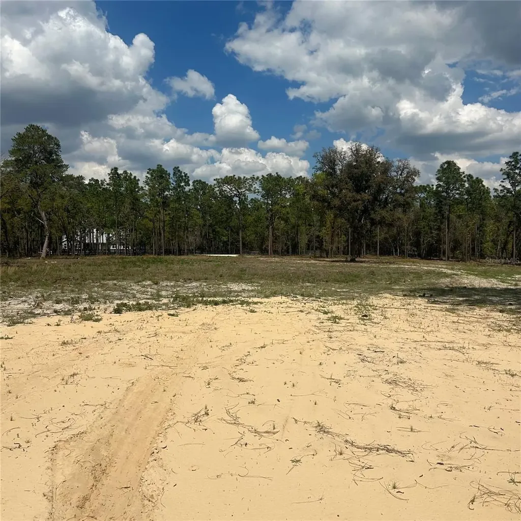 2395 NW 81st Avenue Wildwood FL 34785