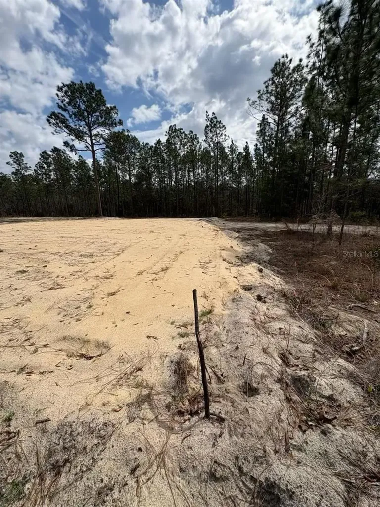 2395 NW 81st Avenue Wildwood FL 34785
