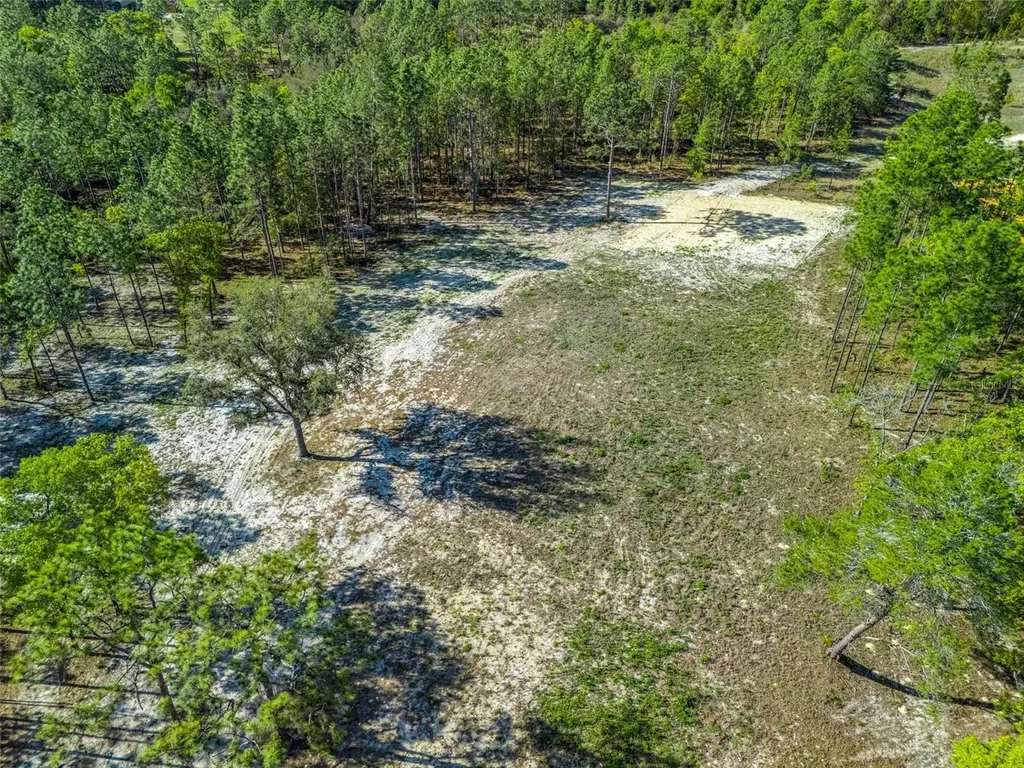 2395 NW 81st Avenue Wildwood FL 34785