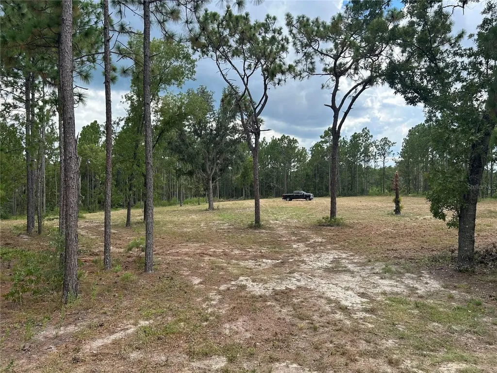 2395 NW 81st Avenue Wildwood FL 34785