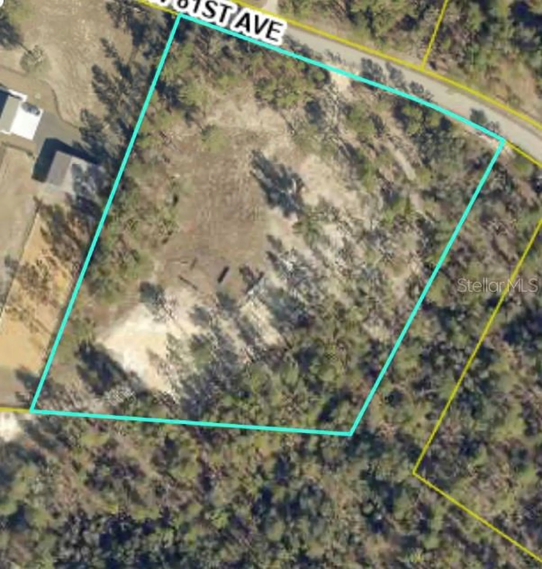2395 NW 81st Avenue Wildwood FL 34785