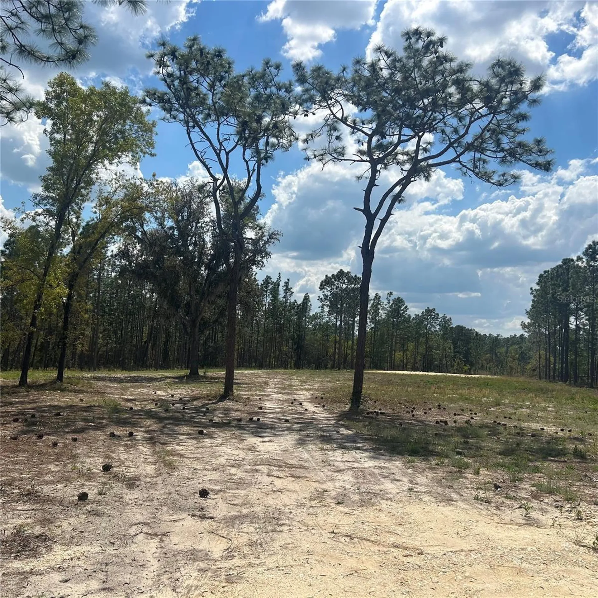 2395 NW 81st Avenue Wildwood FL 34785