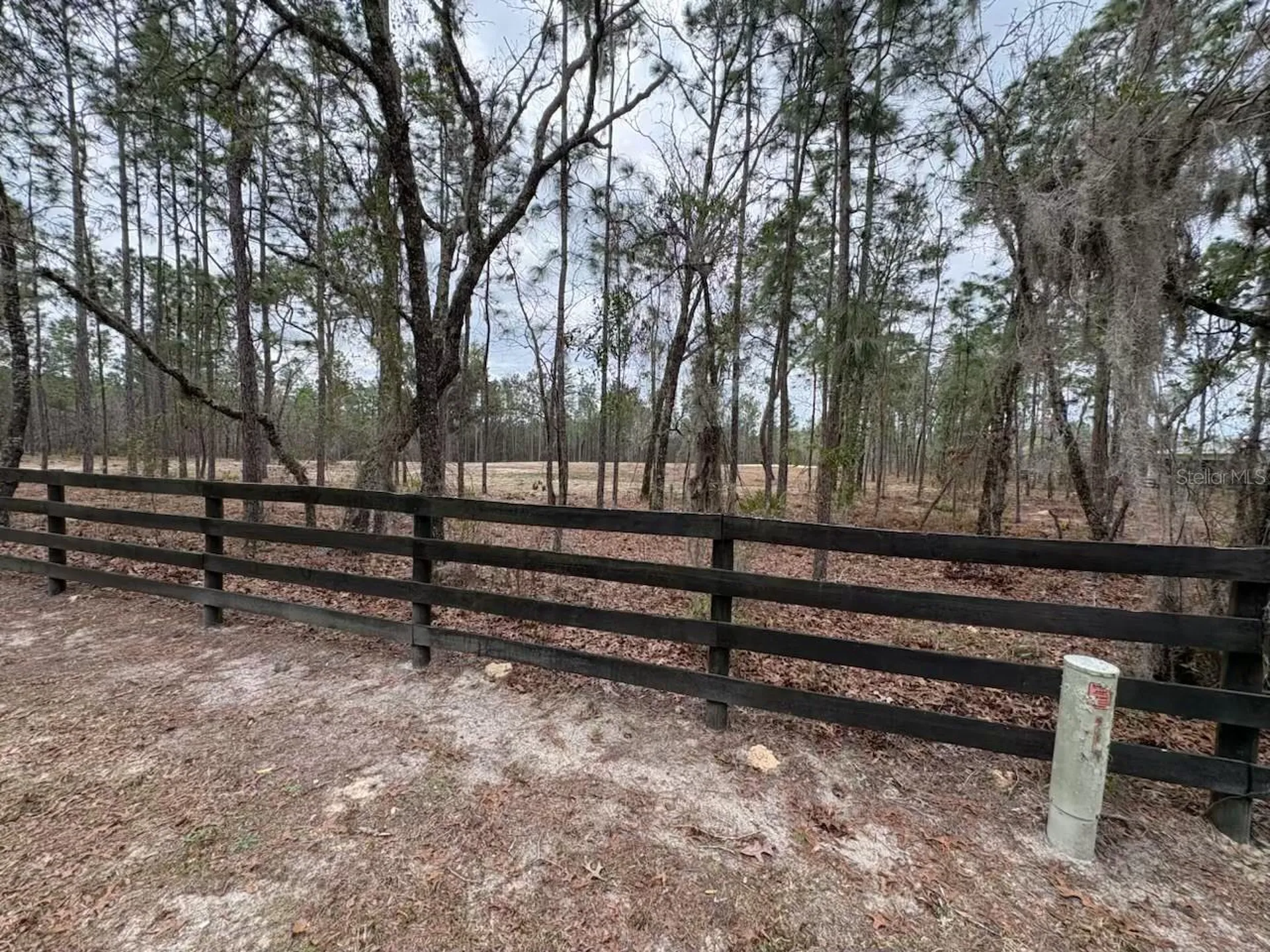 2395 NW 81st Avenue Wildwood FL 34785