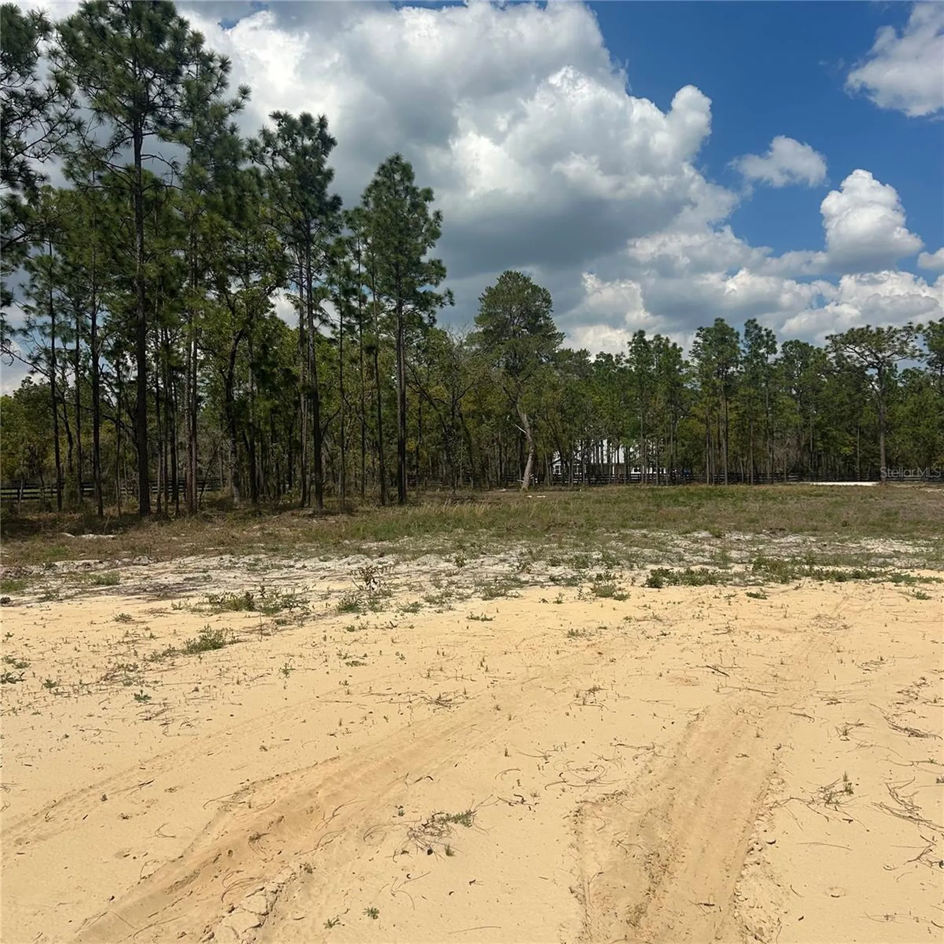 2395 NW 81st Avenue Wildwood FL 34785
