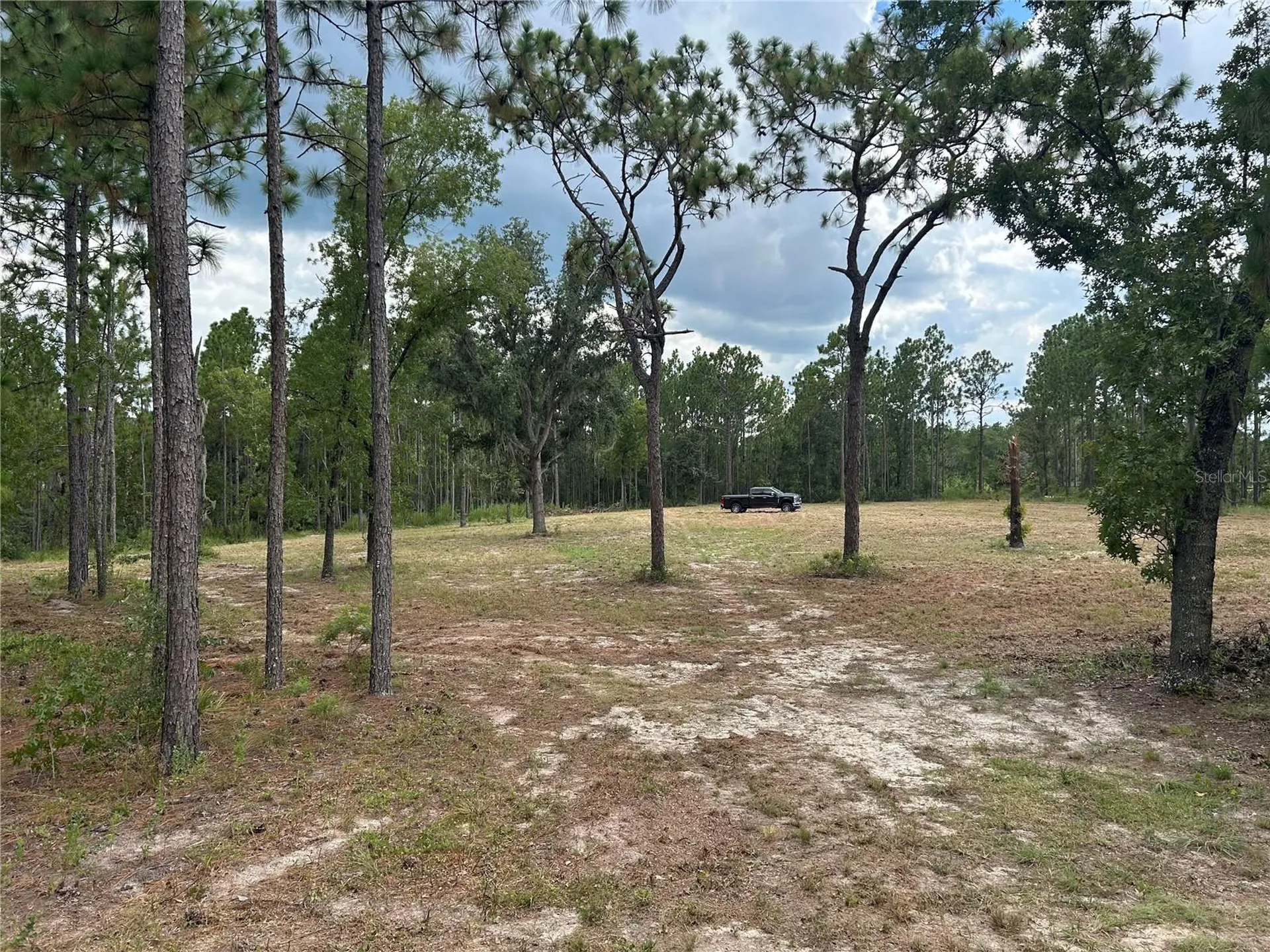 2395 NW 81st Avenue Wildwood FL 34785