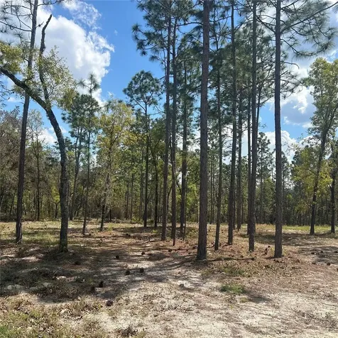 2395 NW 81st Avenue Wildwood FL 34785