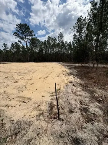 2395 NW 81st Avenue Wildwood FL 34785