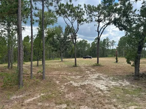 2395 NW 81st Avenue Wildwood FL 34785