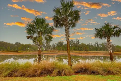 4714 Wightman Circle The Villages FL 32163