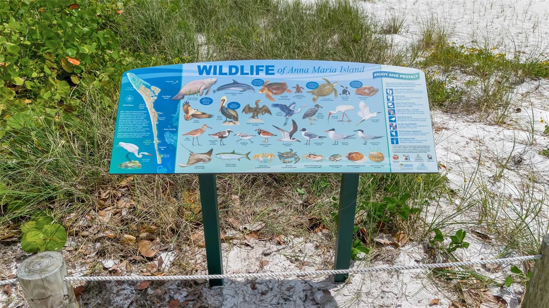 2215 Avenue C Bradenton Beach FL 34217